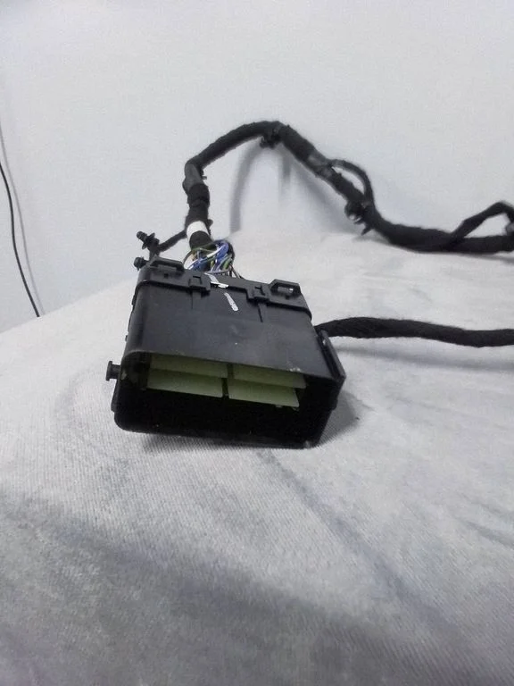 Other wiring loom LX6T14B079