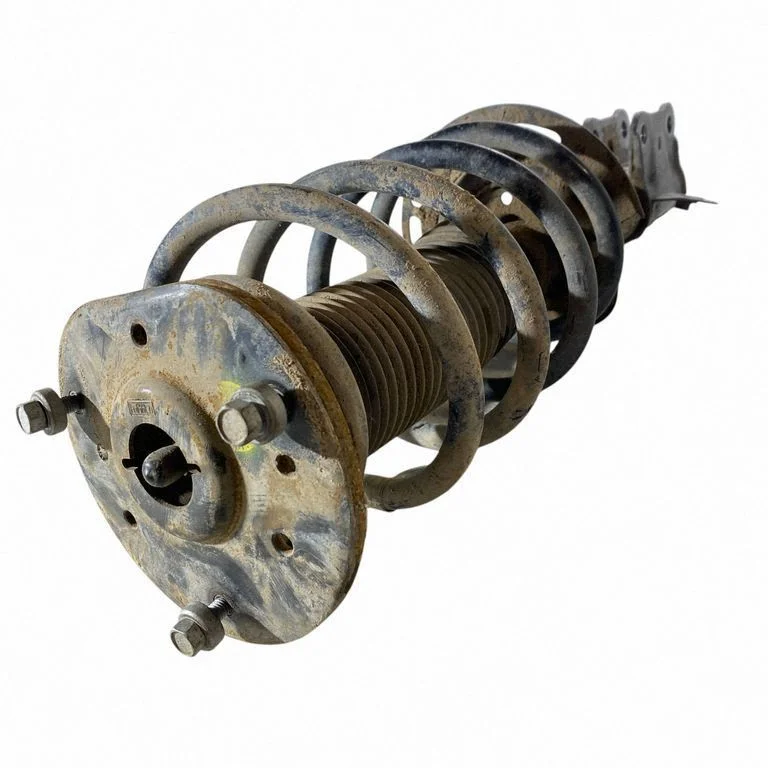 Front shock absorber with coil spring F2GC18K001