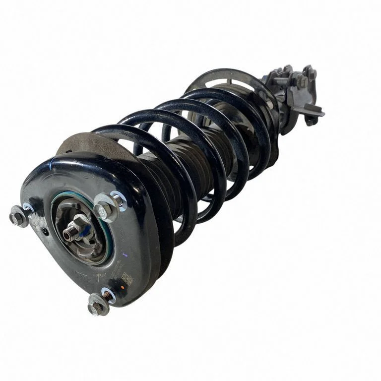 Front shock absorber with coil spring LX615310