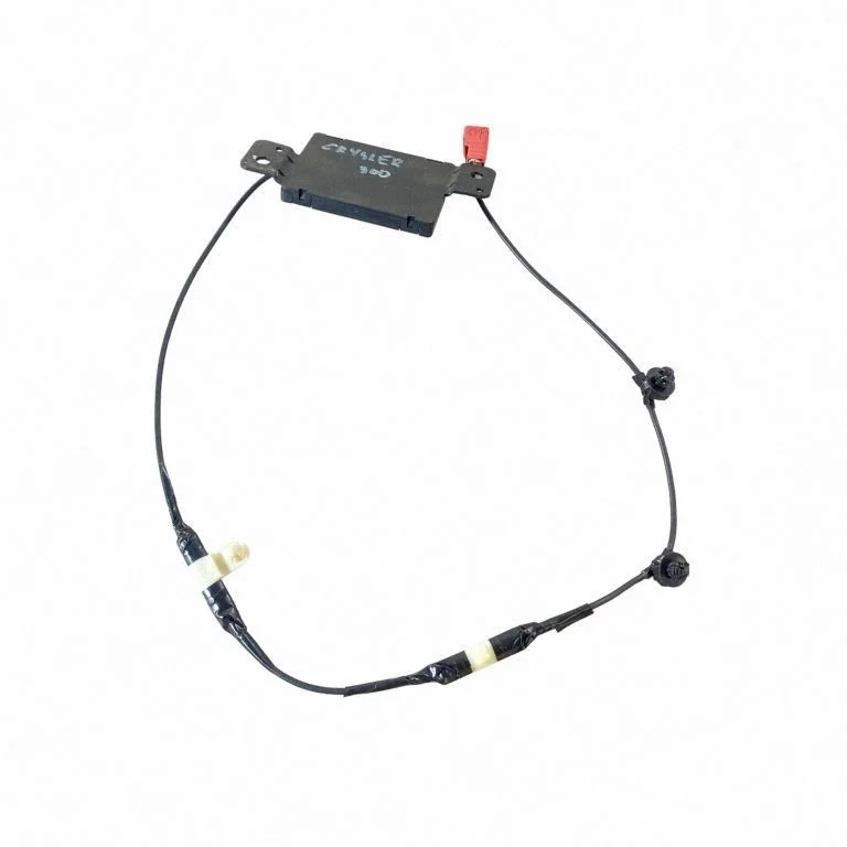 Beraktės sistemos antena