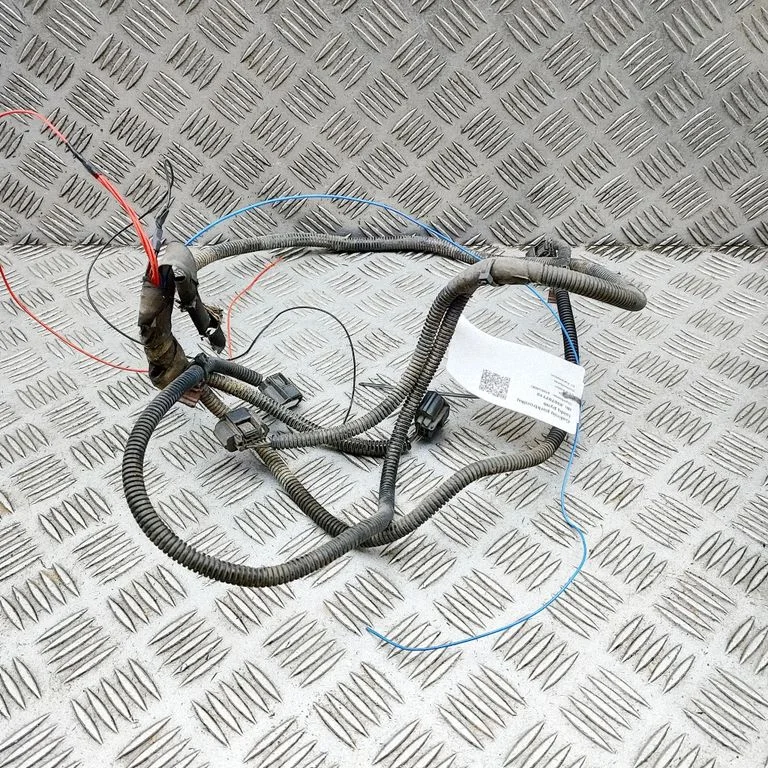 Other wiring loom