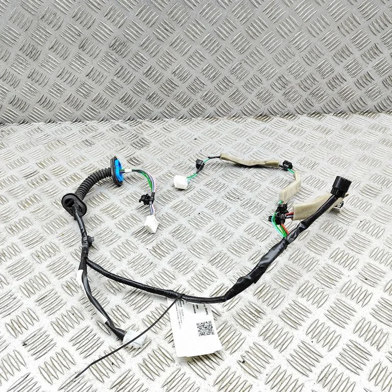 Rear door wiring loom 3675163TA0