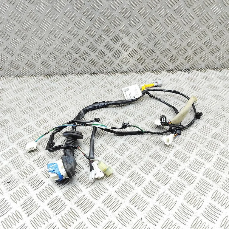 Front door wiring loom 3675763TC0