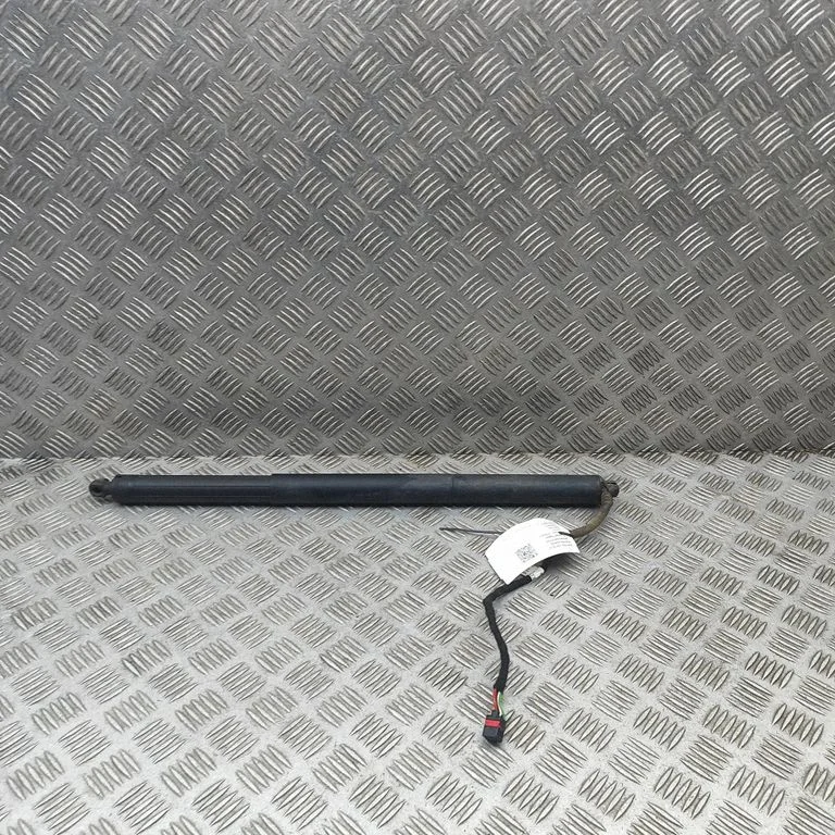 Tailgate/trunk strut/damper 81A827851B
