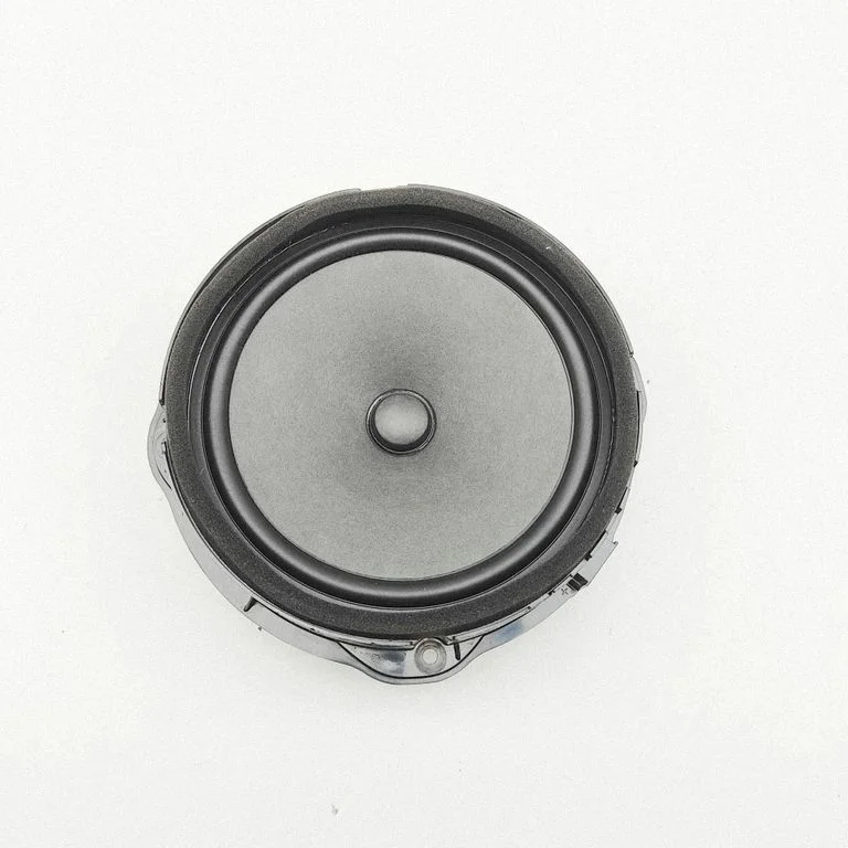 Front door speaker 8V0035415C