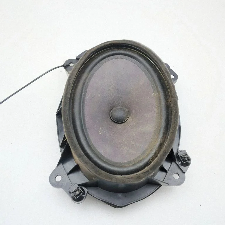 Esiukse kõlar(id) 8980529370