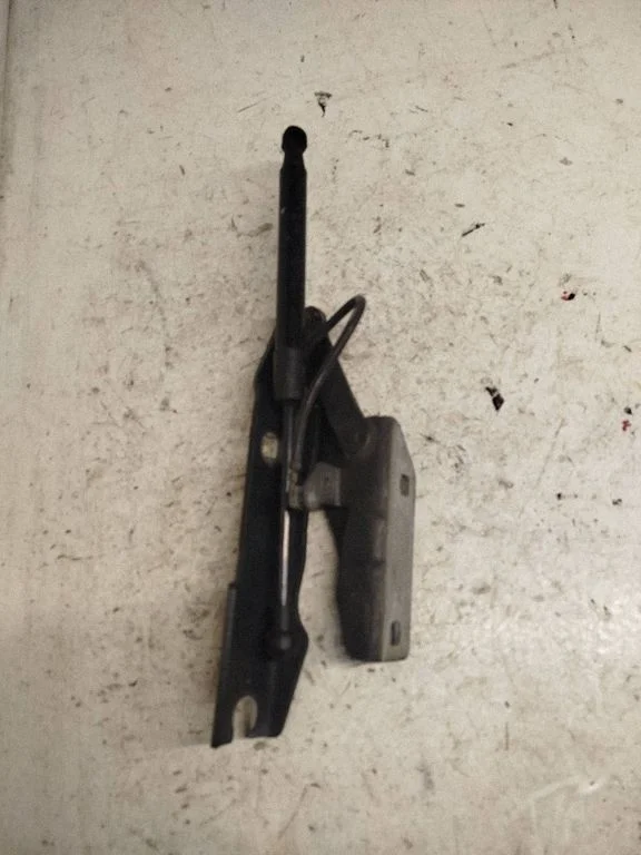 Engine bonnet/hood hinges