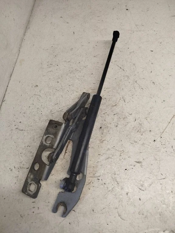 Engine bonnet/hood hinges 8168892