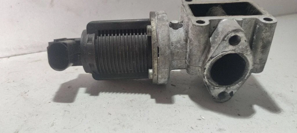 EGR valve 700063100