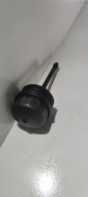 Tepalo filtro dangtelis
