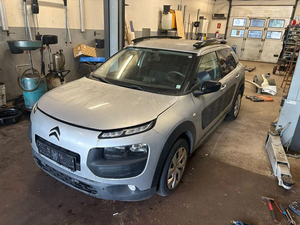 Citroen C4 Picasso, Grand Picasso, Aircross, Cactus