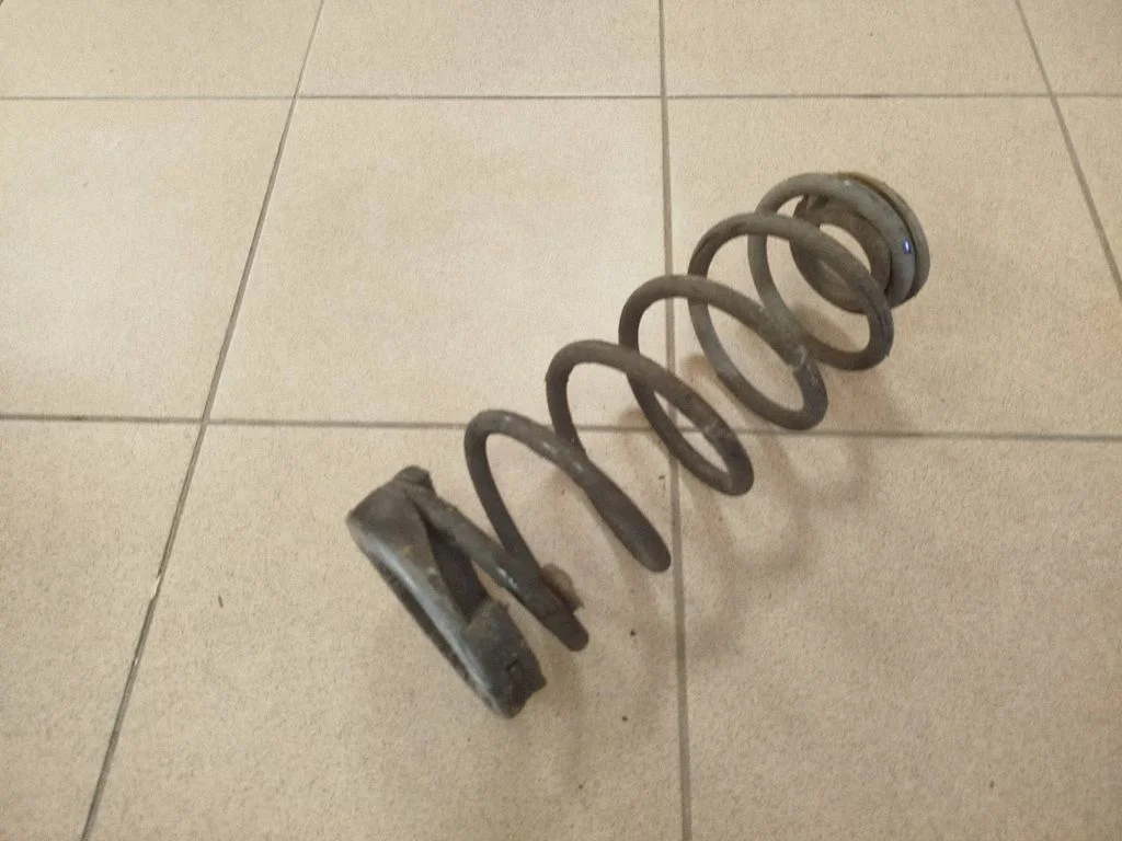 Rear coil spring