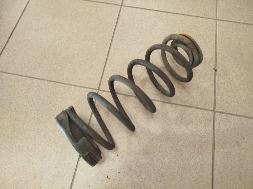 Rear coil spring