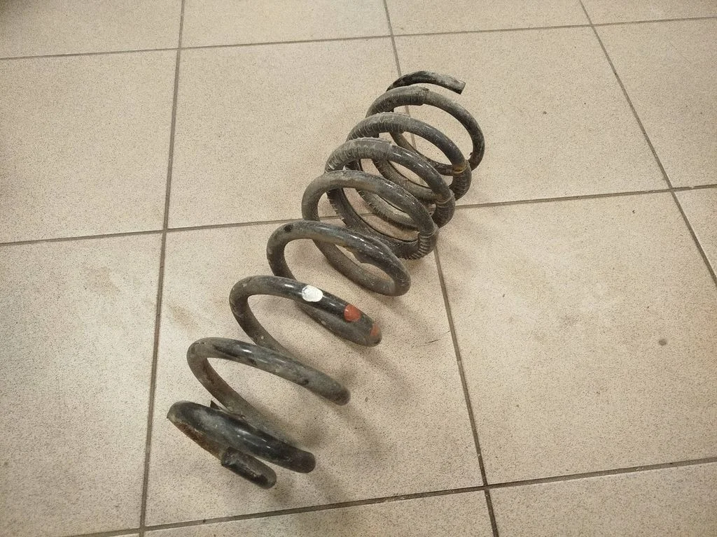 Rear coil spring