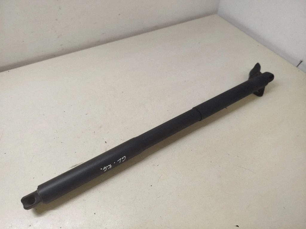 Tailgate/trunk strut/damper A1669803764