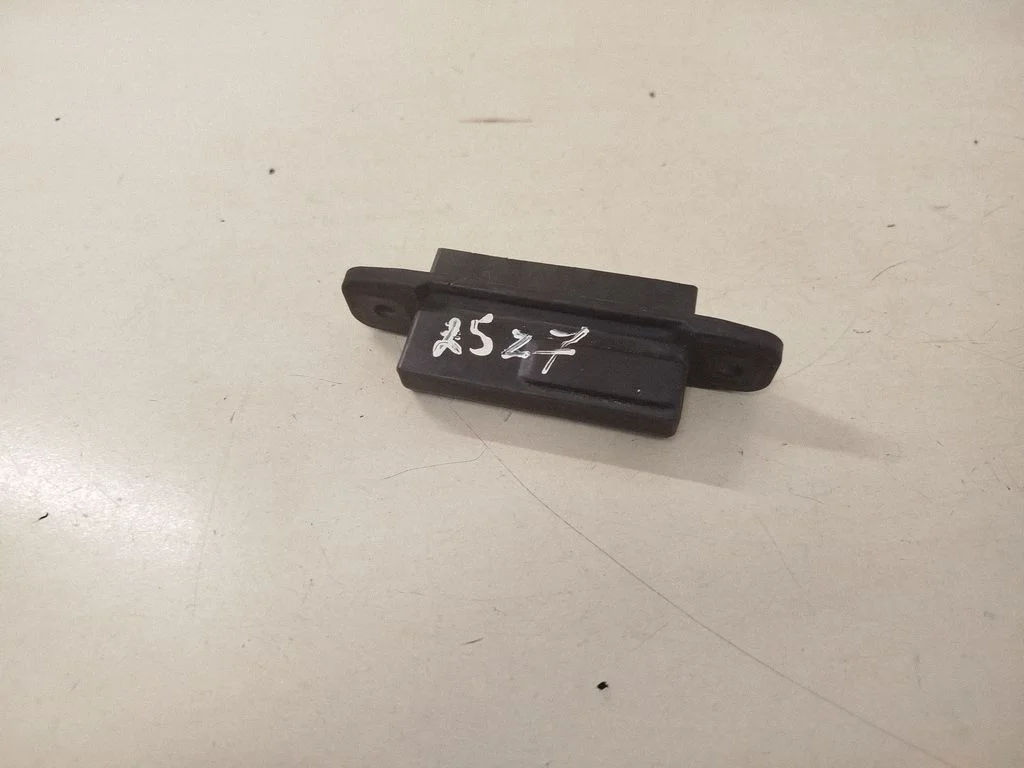Tagaluugi avamiskäepide (välimine)