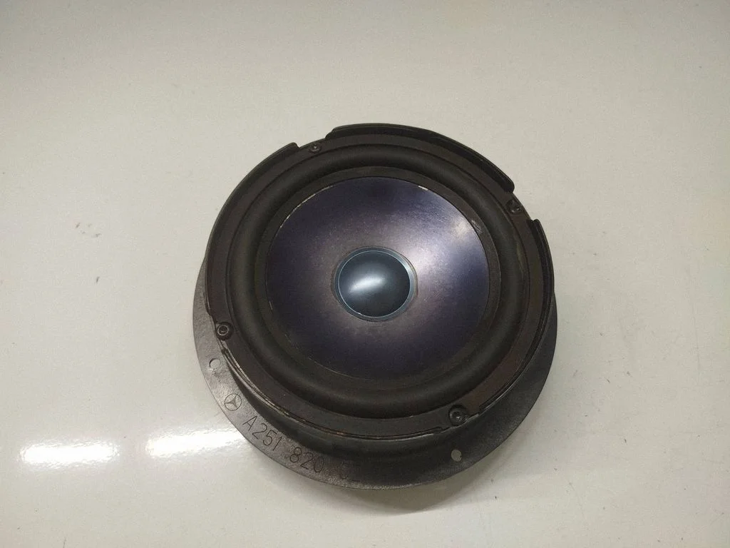 Front door speaker A2518200202