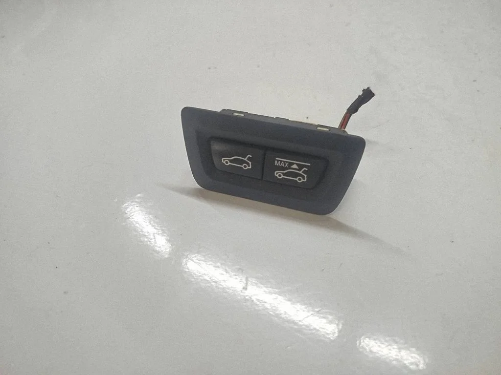 Tailgate opening switch 9194912