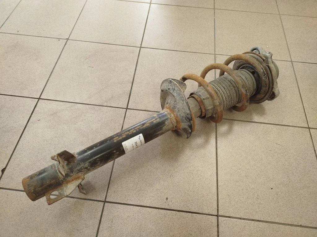 Front shock absorber with coil spring 314572