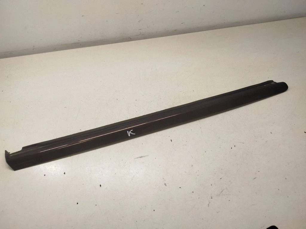 Rear door glass trim molding 2516901980