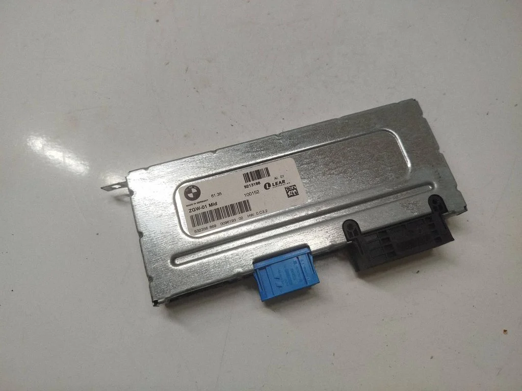 Gateway control module 61359213188