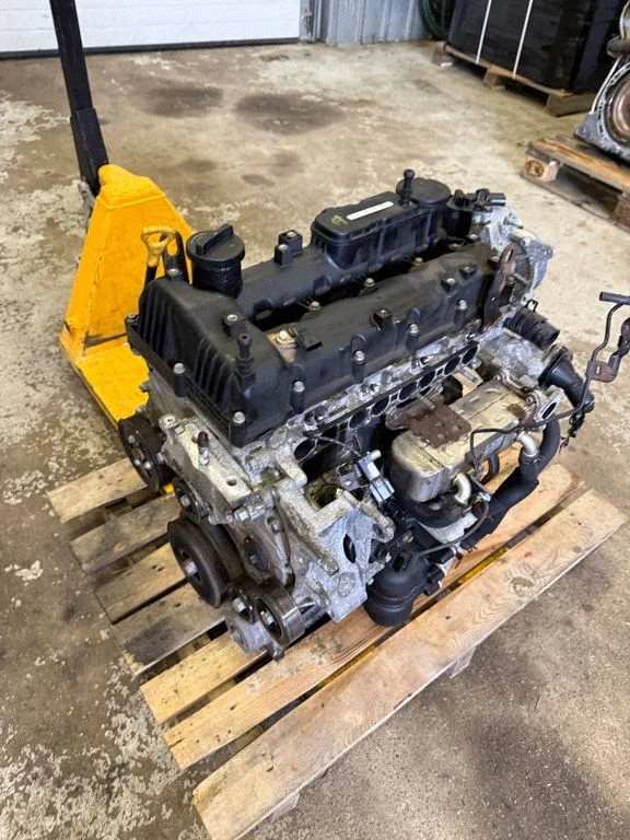 Mootor D4HB