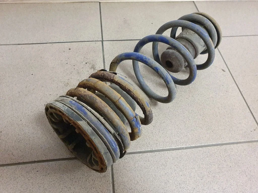 Rear coil spring