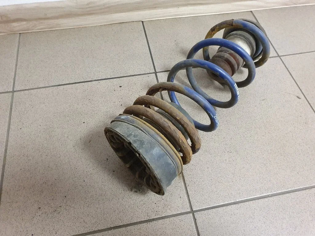 Rear coil spring