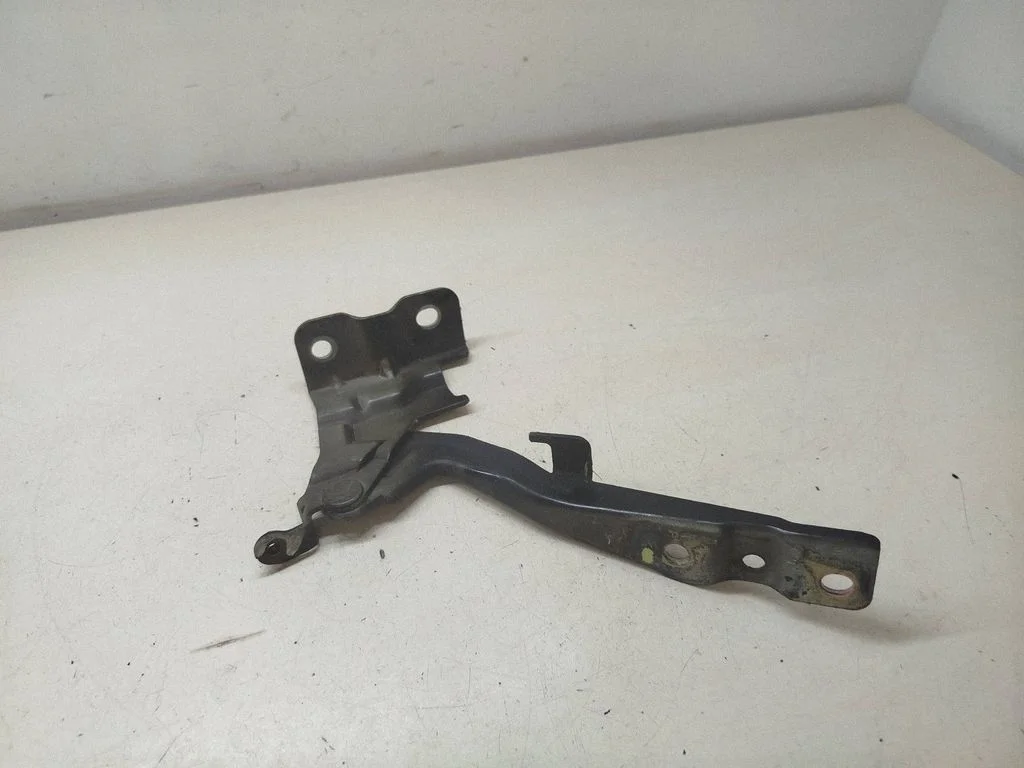 Mootorikapoti hinged – vasak