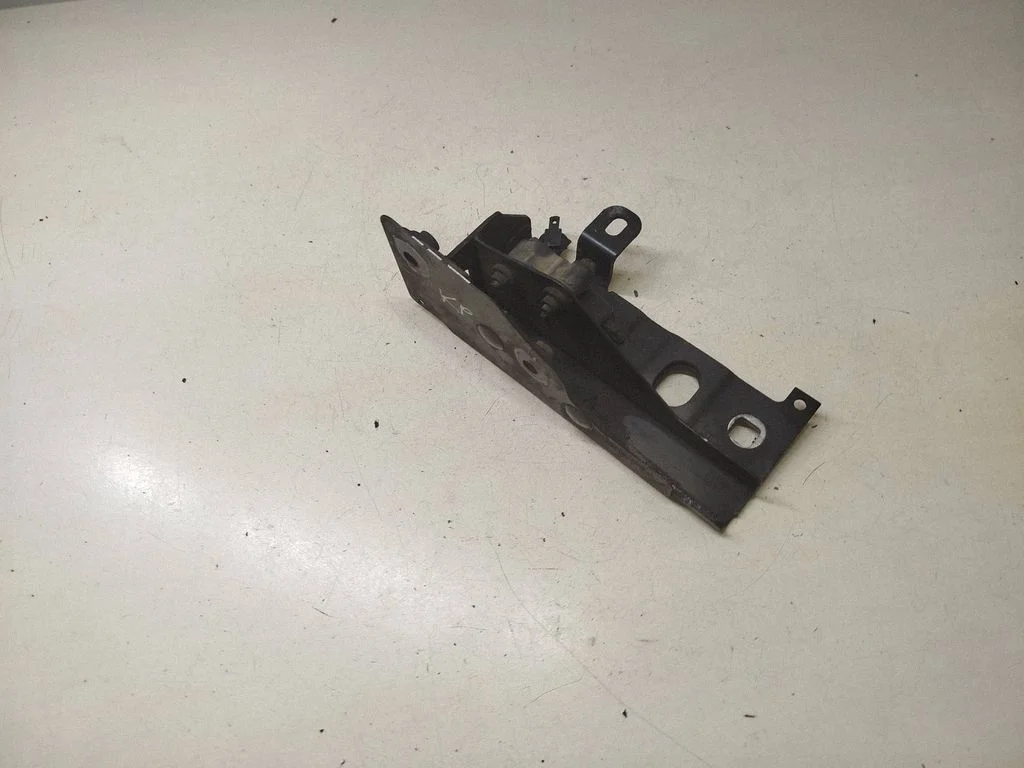 Engine bonnet/hood hinges – left