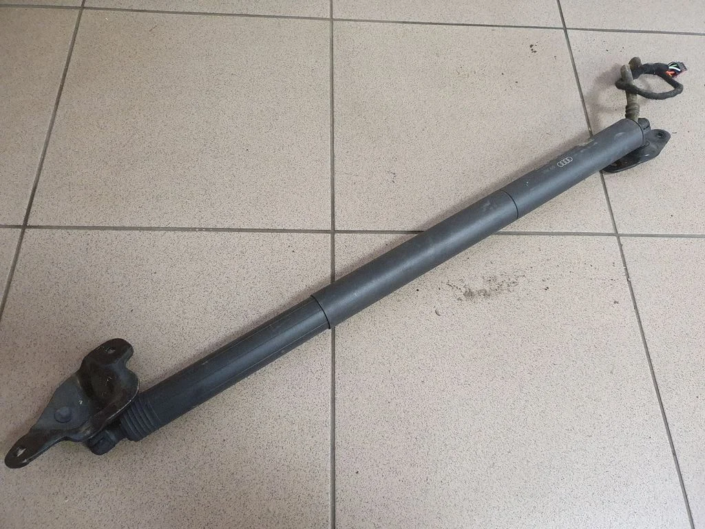 Tailgate/trunk strut/damper 81A827851C