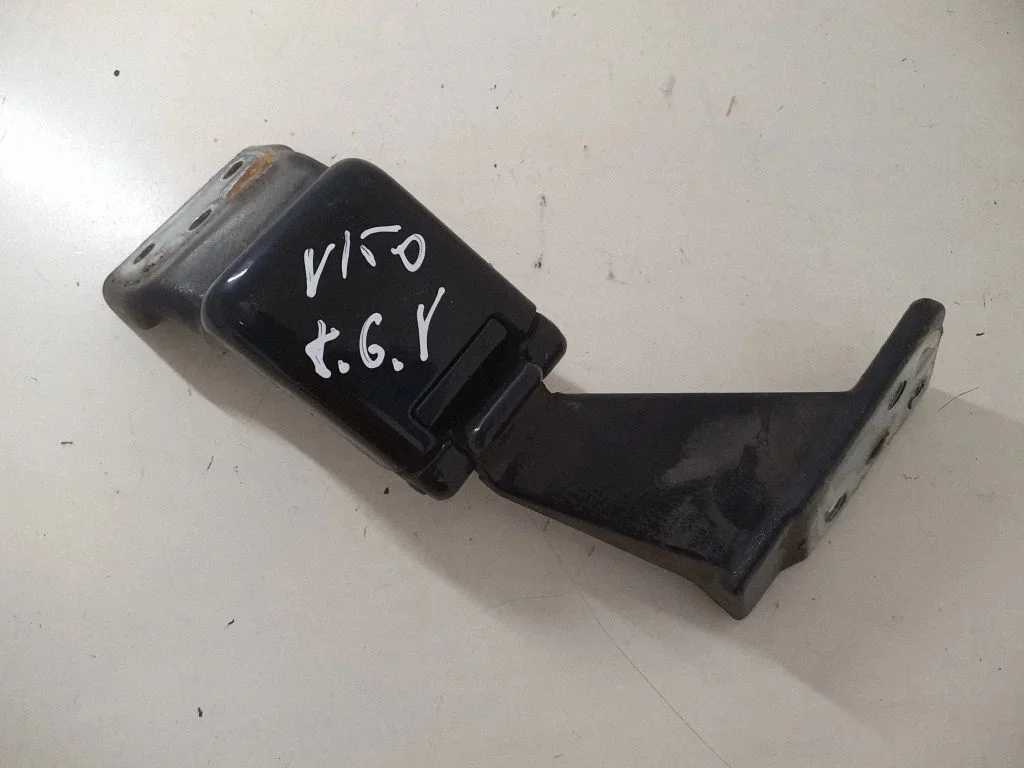Bagažinės viršutinis vyris