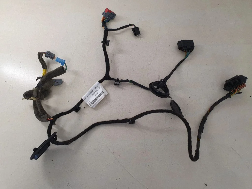 Rear door wiring loom 31313986