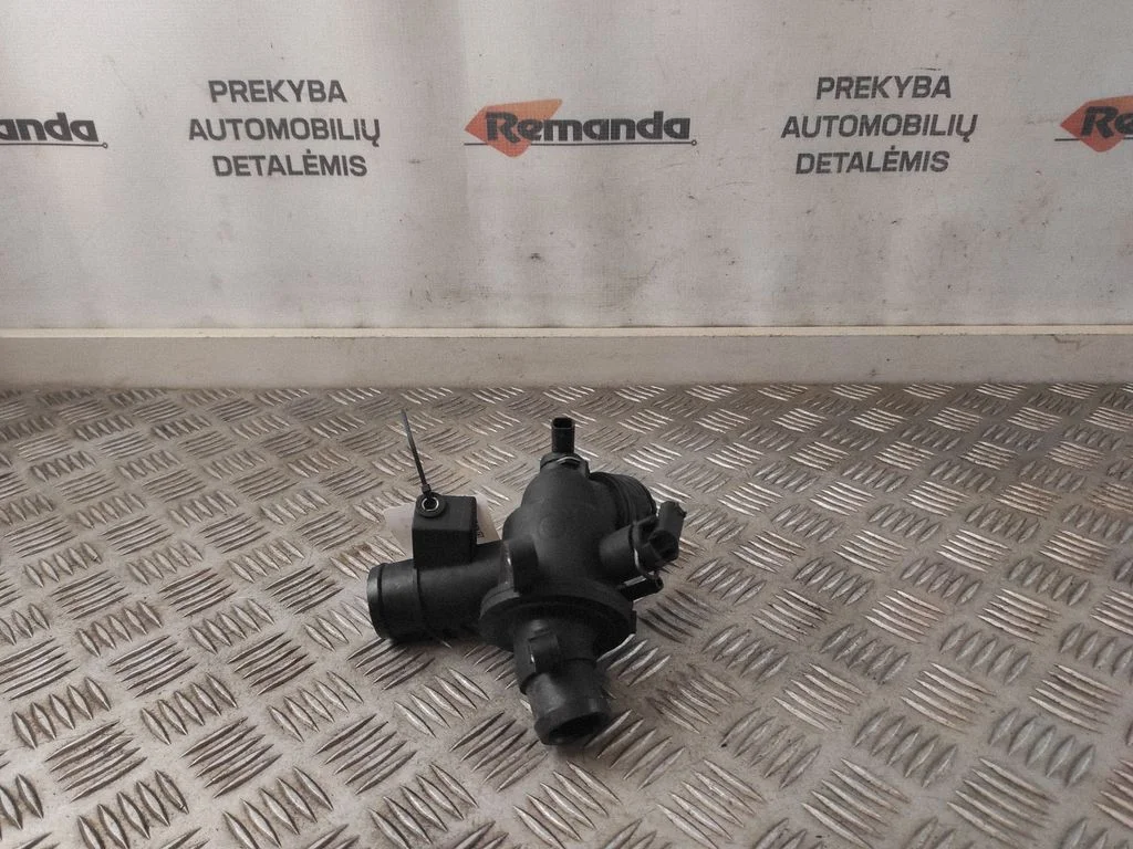 Termostatas/ termostato korpusas