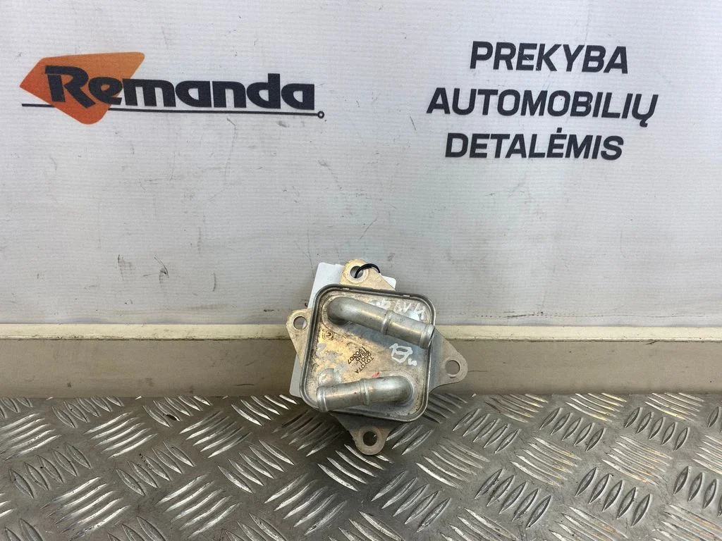 Transmisijos tepalo aušintuvas