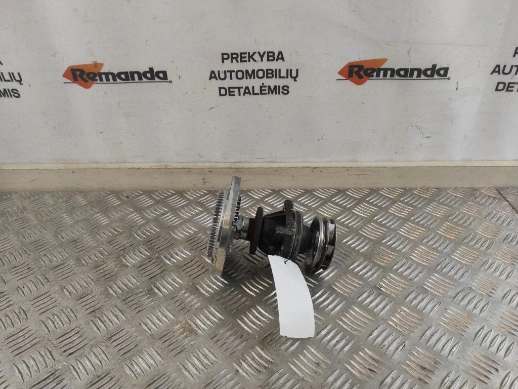 Termomova