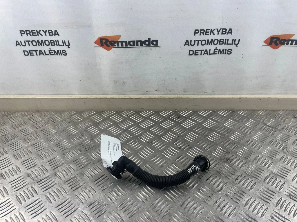 Žarna alsuoklio
