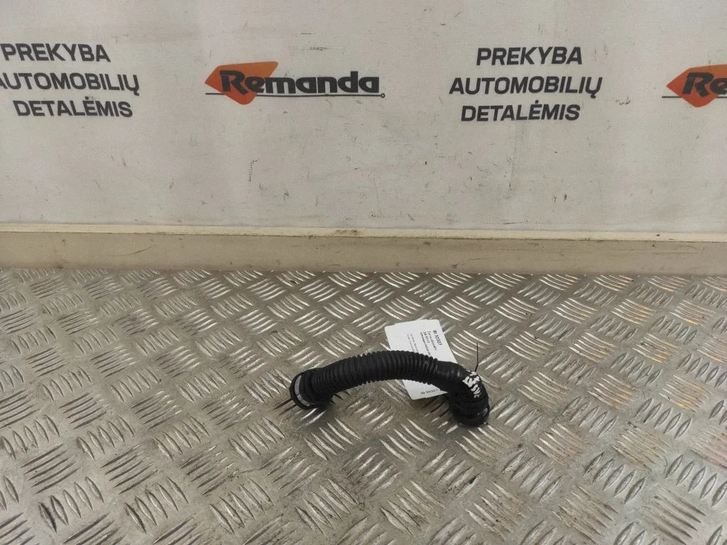 Žarna alsuoklio