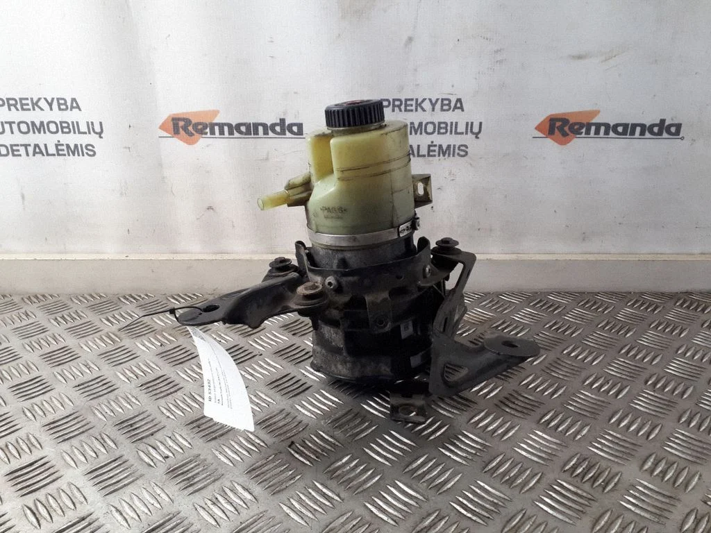 Power steering pump 491100616R
