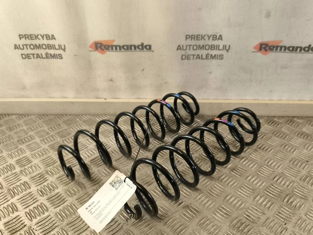Rear coil spring