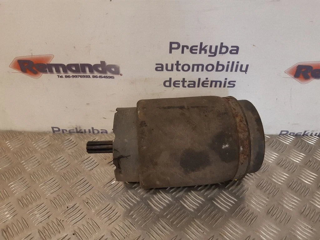 Galinė pneumatinė (oro) pagalvė