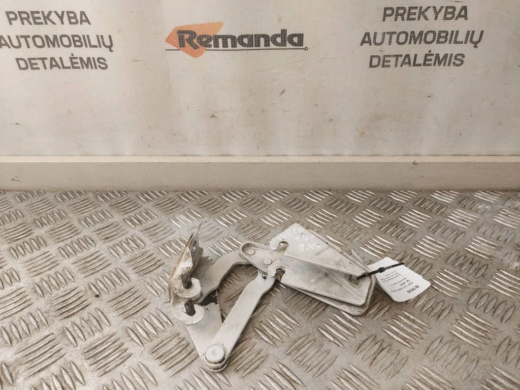Vyris (-iai) variklio dangčio