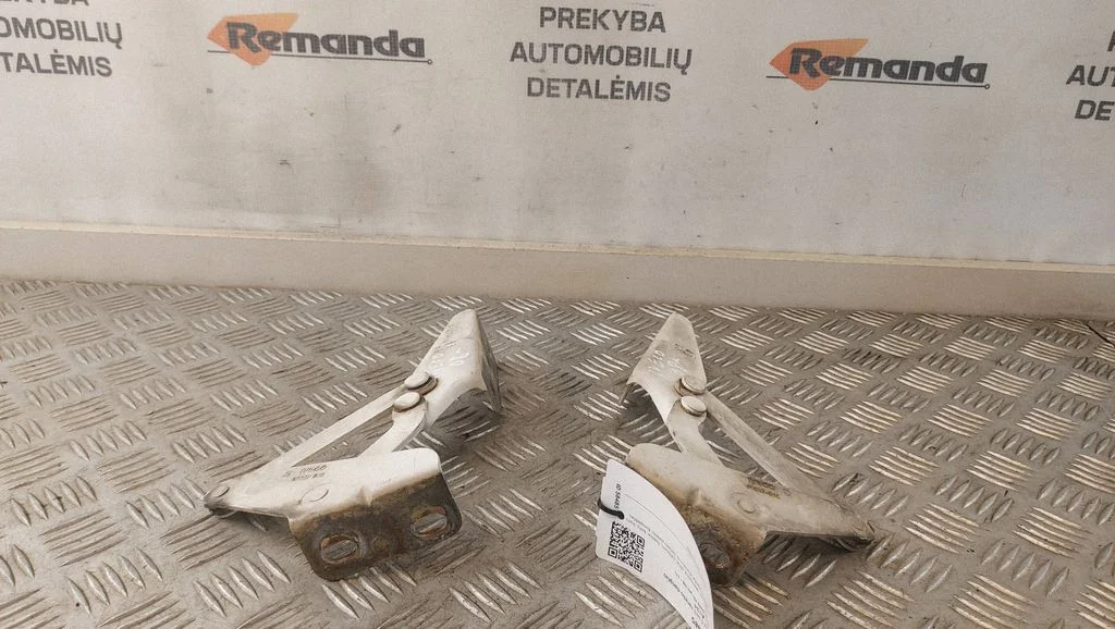 Vyris (-iai) variklio dangčio