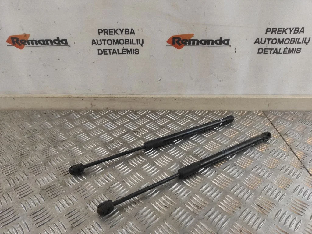 Amortizatorius variklio dangčio