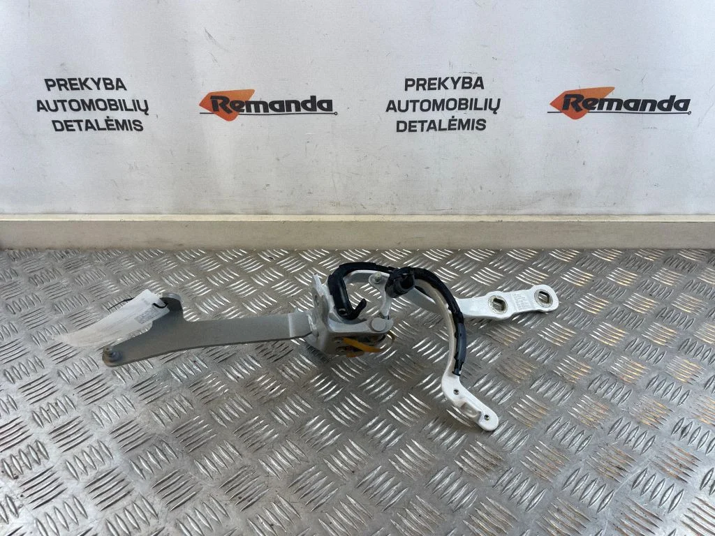 Tailgate/trunk/boot hinge 7390413