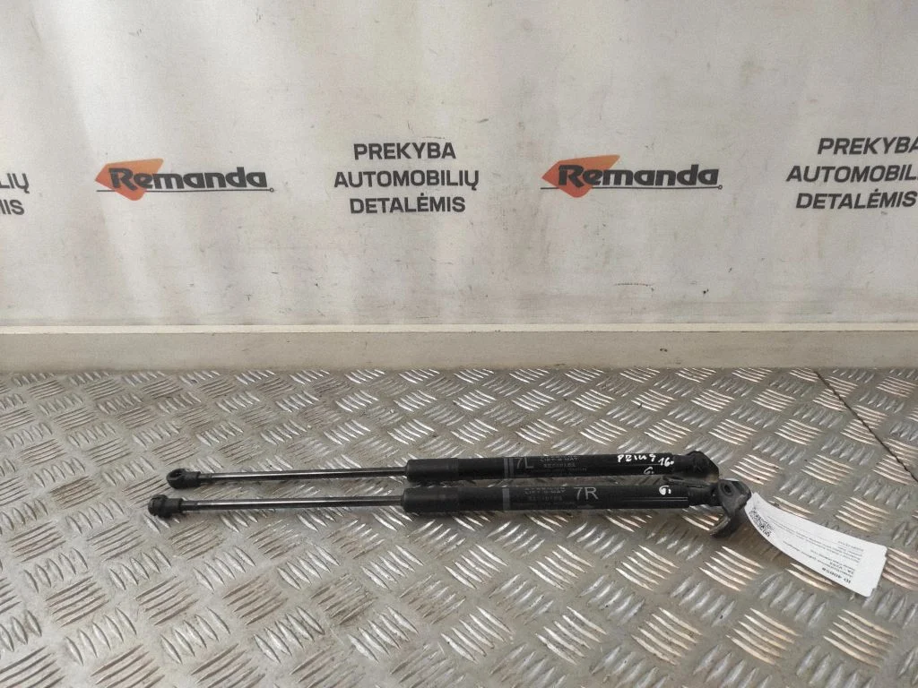 Aizmugurējā vāka amortizators 689600W860