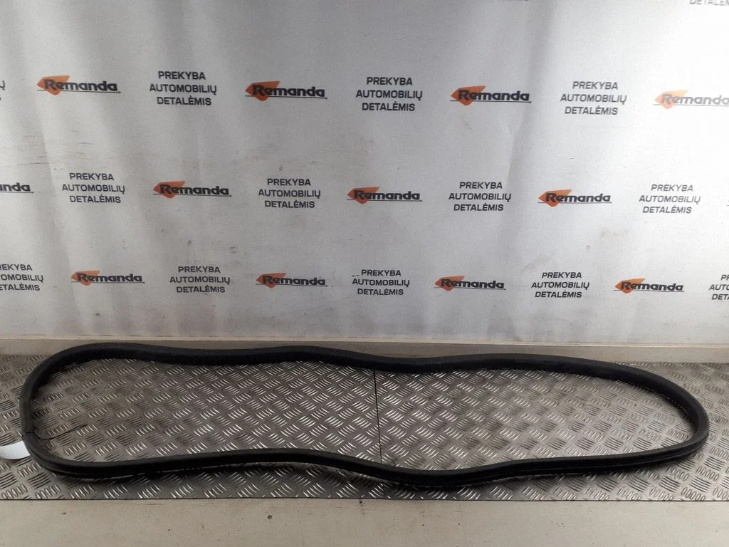Front door rubber seal – front left