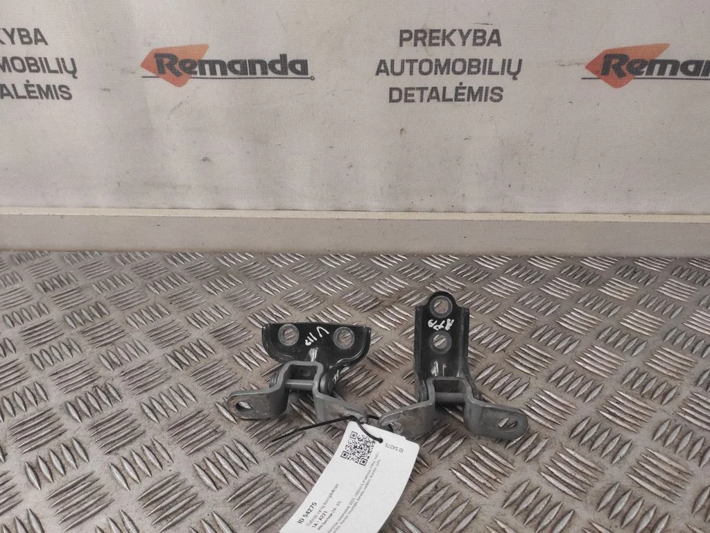 Galinis vyrių komplektas