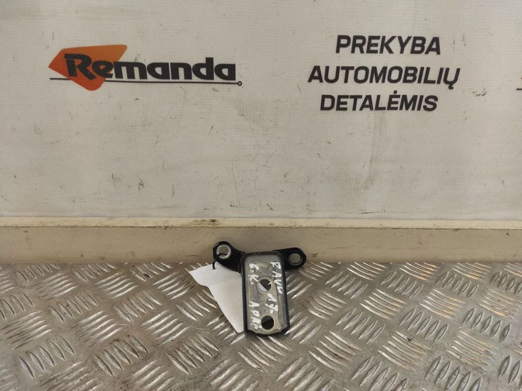 Rear door lower hinge A046694