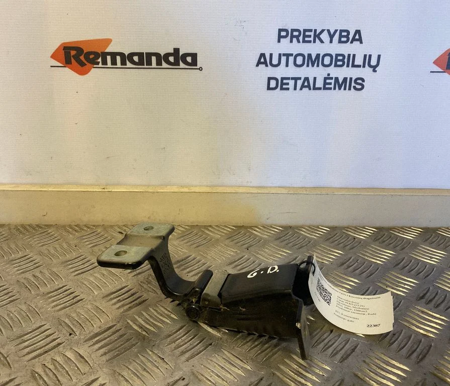 Bagažinės viršutinis vyris